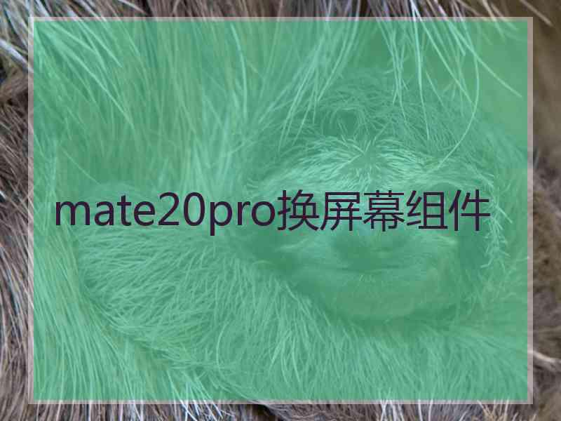 mate20pro换屏幕组件