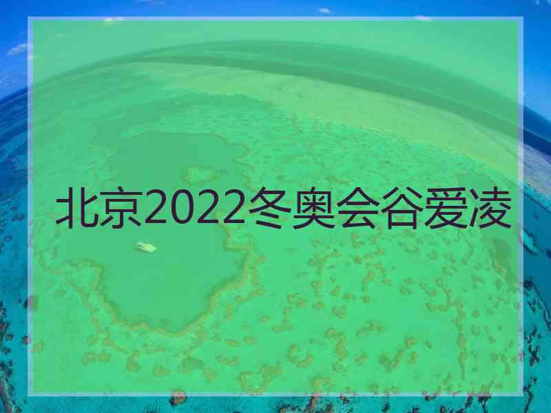 北京2022冬奥会谷爱凌