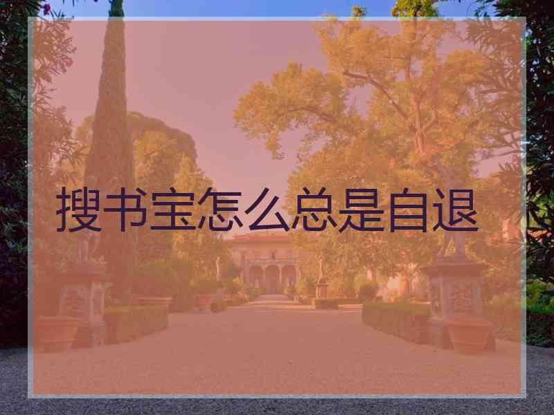 搜书宝怎么总是自退