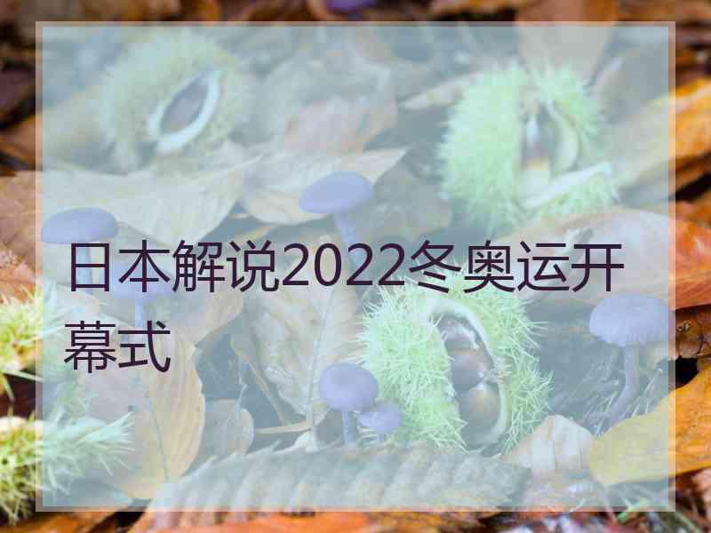 日本解说2022冬奥运开幕式