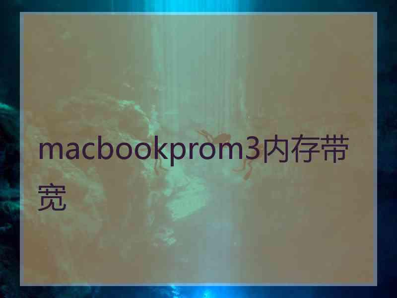 macbookprom3内存带宽