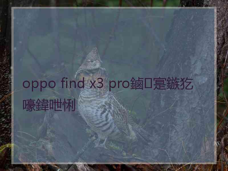 oppo find x3 pro鏀寔鏃犵嚎鍏呭悧