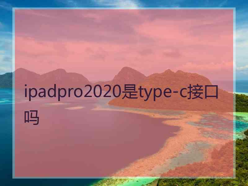 ipadpro2020是type-c接口吗