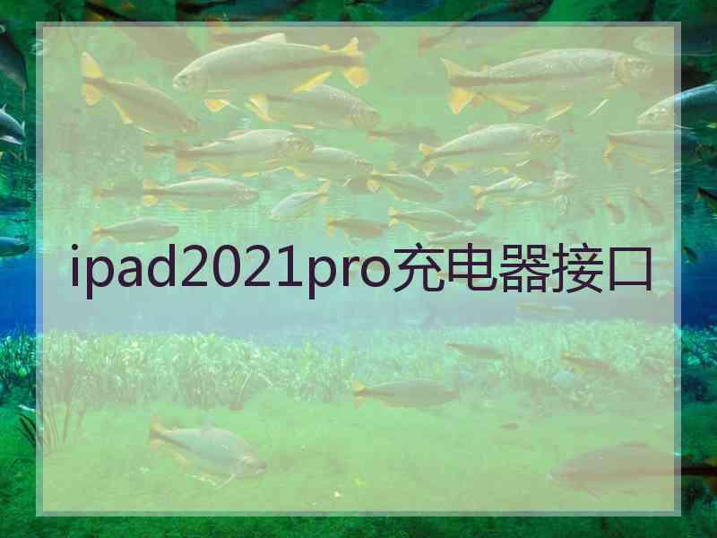 ipad2021pro充电器接口