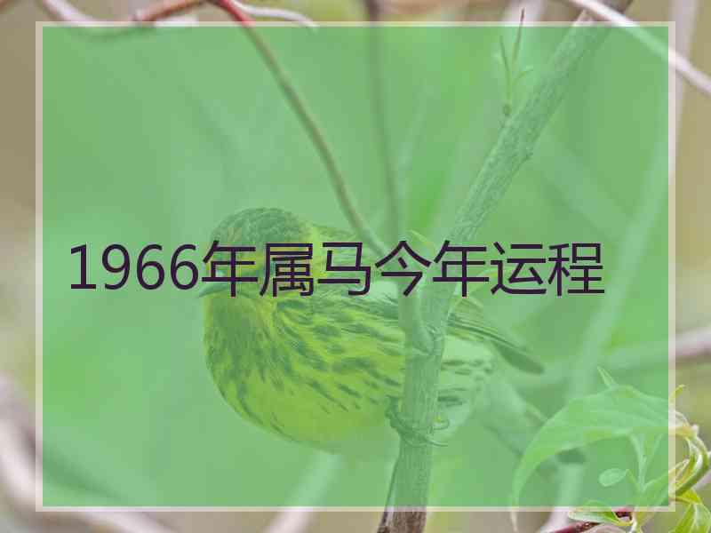 1966年属马今年运程