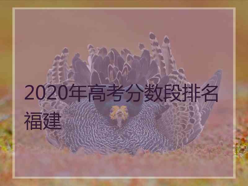 2020年高考分数段排名福建