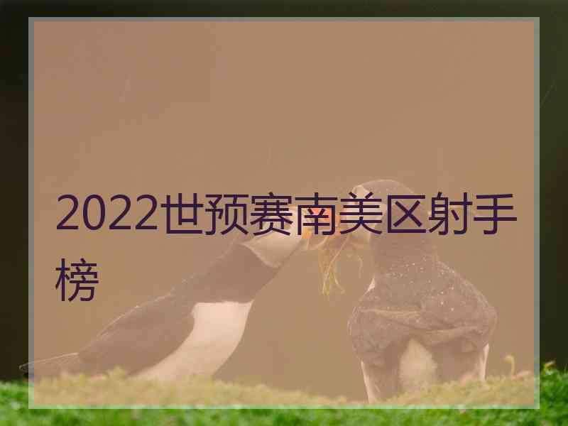 2022世预赛南美区射手榜