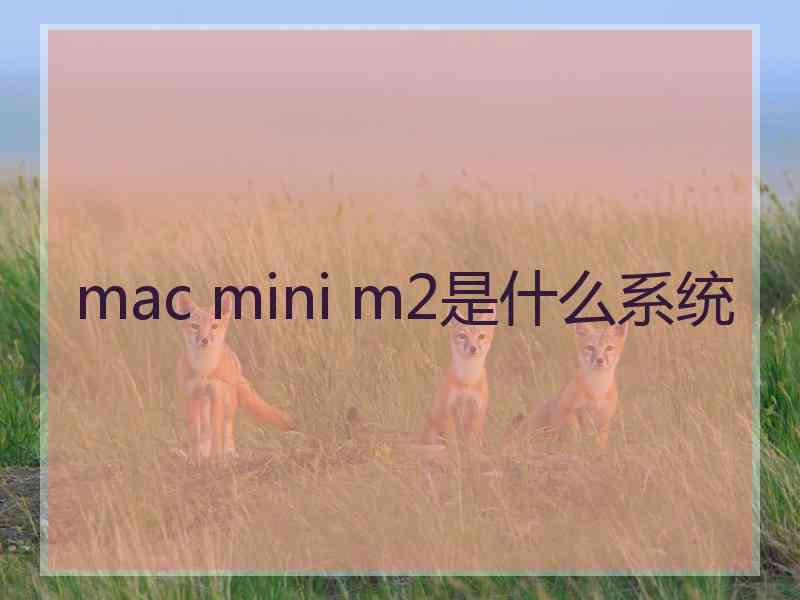 mac mini m2是什么系统