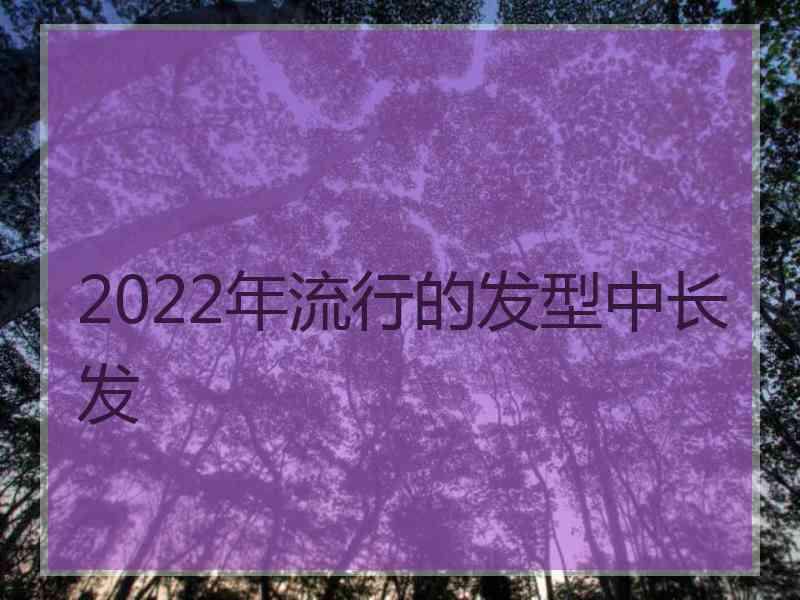 2022年流行的发型中长发