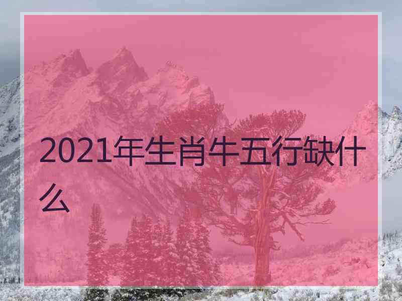 2021年生肖牛五行缺什么