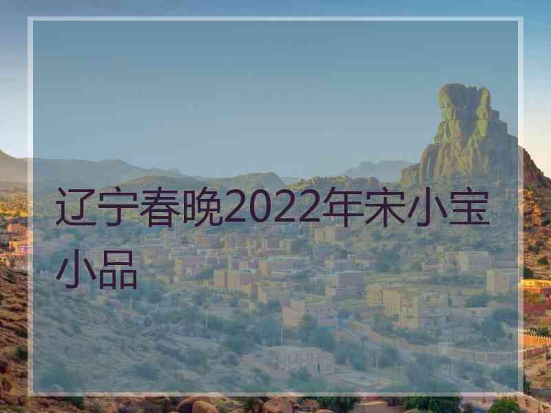 辽宁春晚2022年宋小宝小品