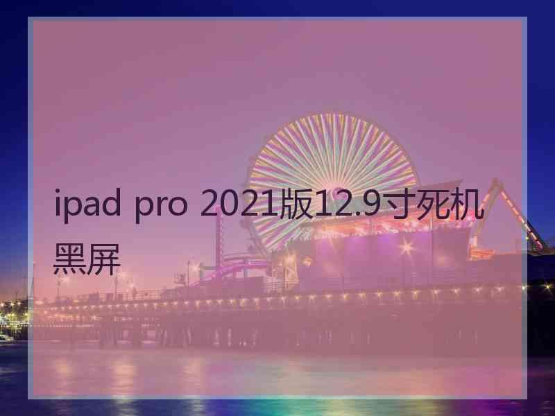 ipad pro 2021版12.9寸死机黑屏