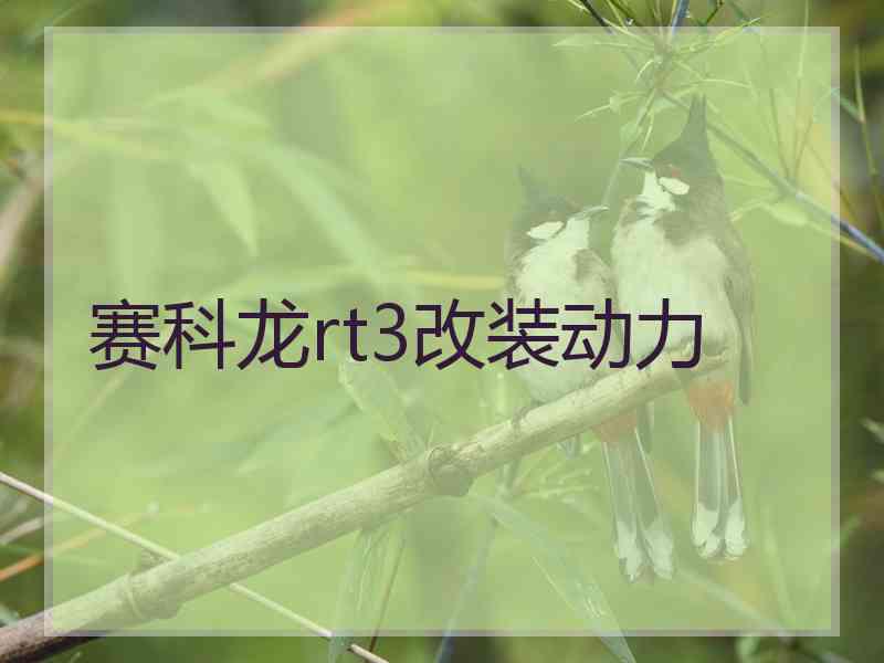 赛科龙rt3改装动力