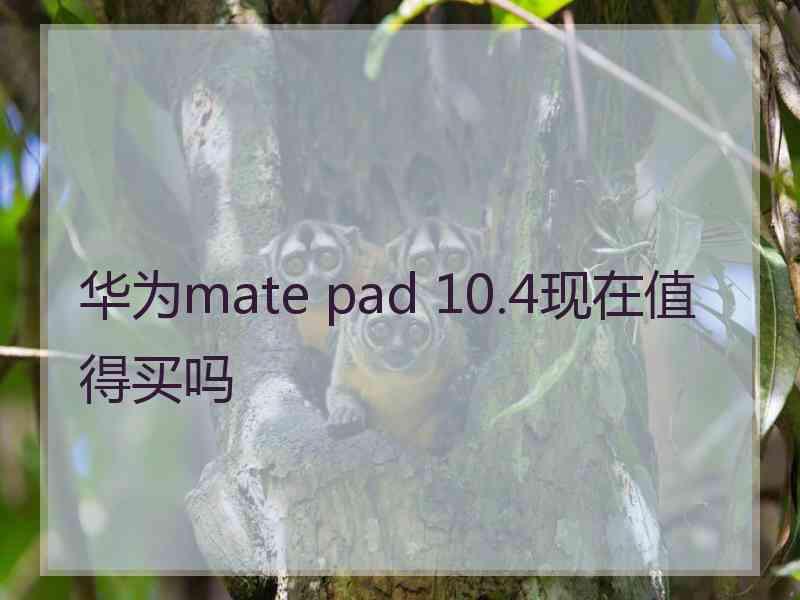 华为mate pad 10.4现在值得买吗