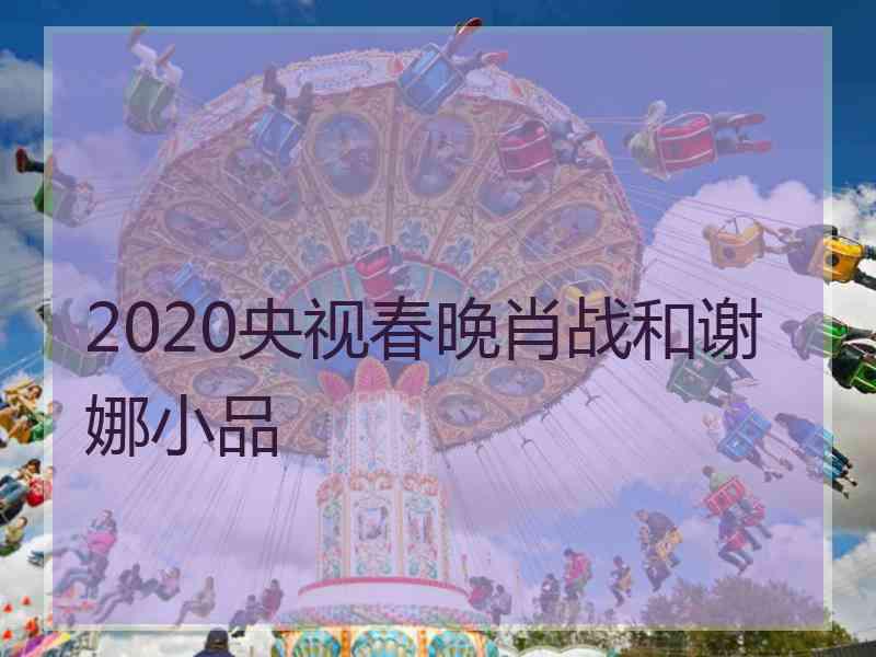 2020央视春晚肖战和谢娜小品