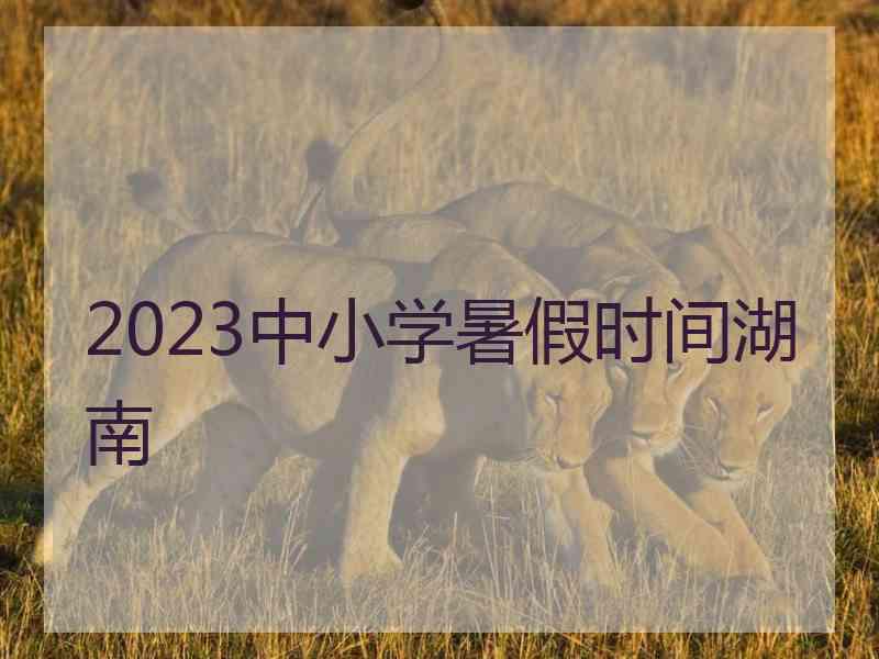 2023中小学暑假时间湖南