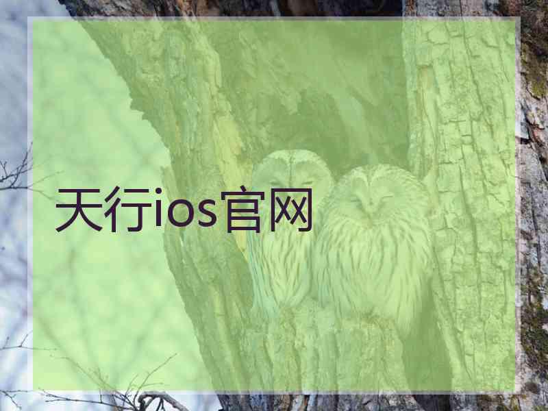 天行ios官网