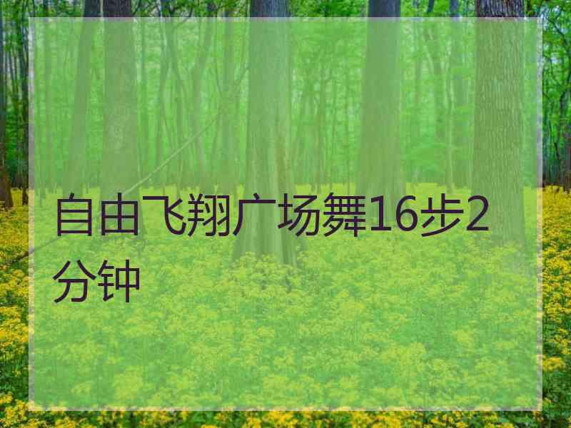 自由飞翔广场舞16步2分钟