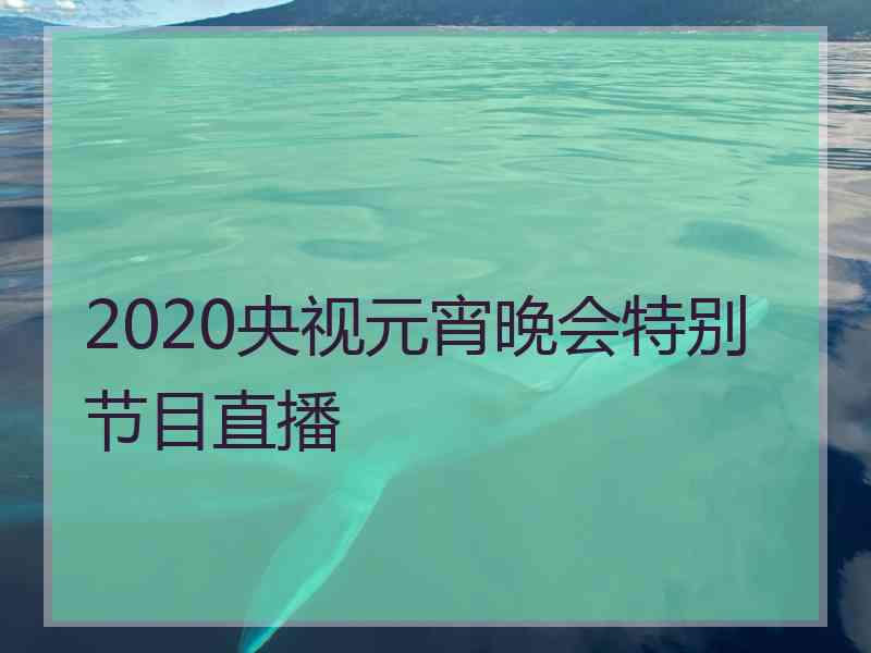 2020央视元宵晚会特别节目直播