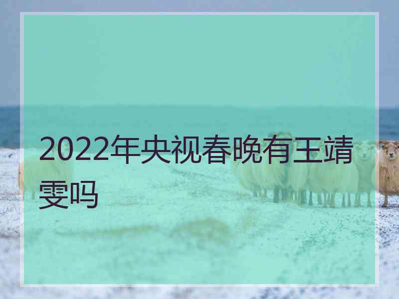 2022年央视春晚有王靖雯吗