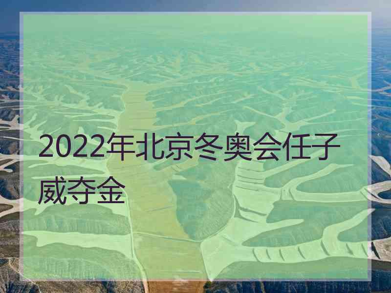 2022年北京冬奥会任子威夺金