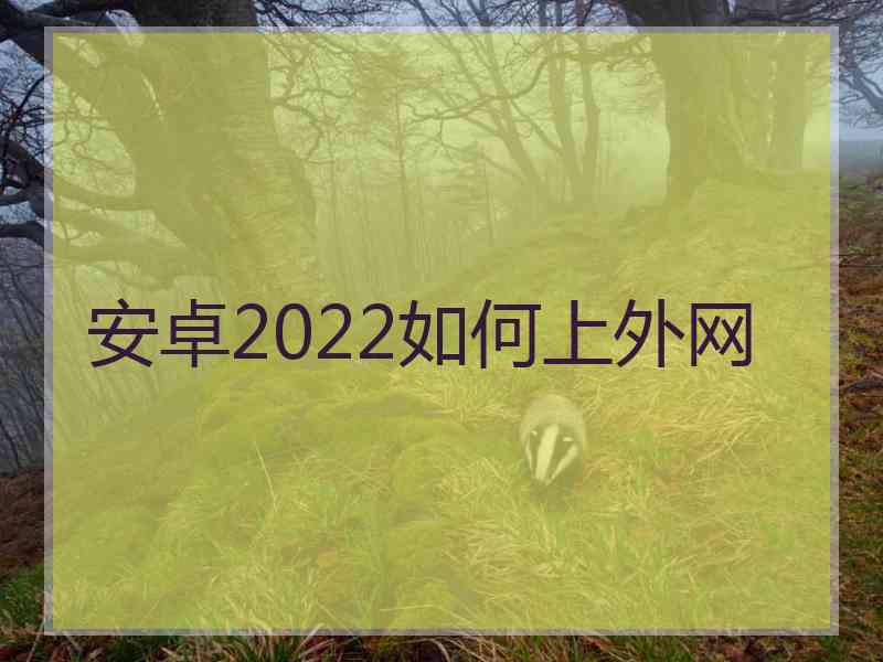 安卓2022如何上外网