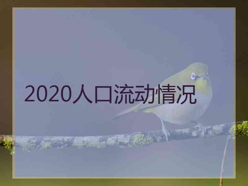 2020人口流动情况