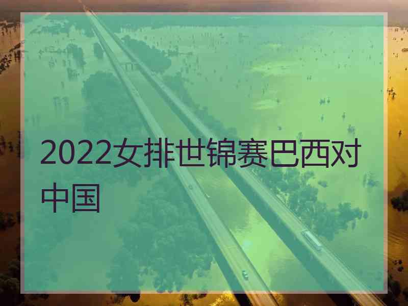 2022女排世锦赛巴西对中国