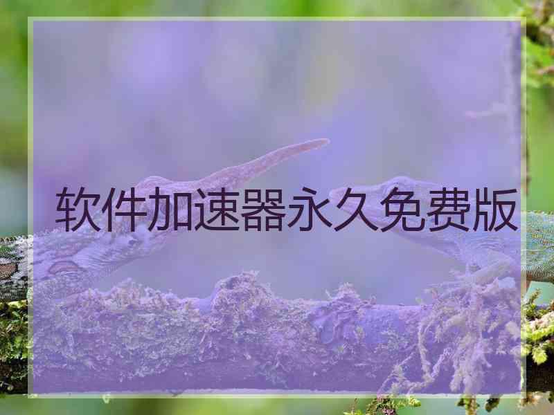 软件加速器永久免费版