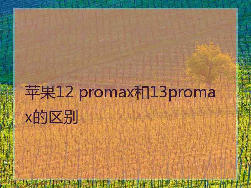 苹果12 promax和13promax的区别