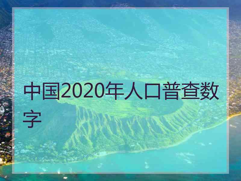 中国2020年人口普查数字