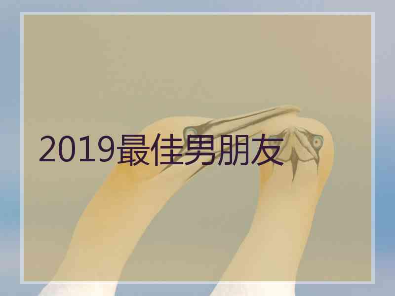 2019最佳男朋友