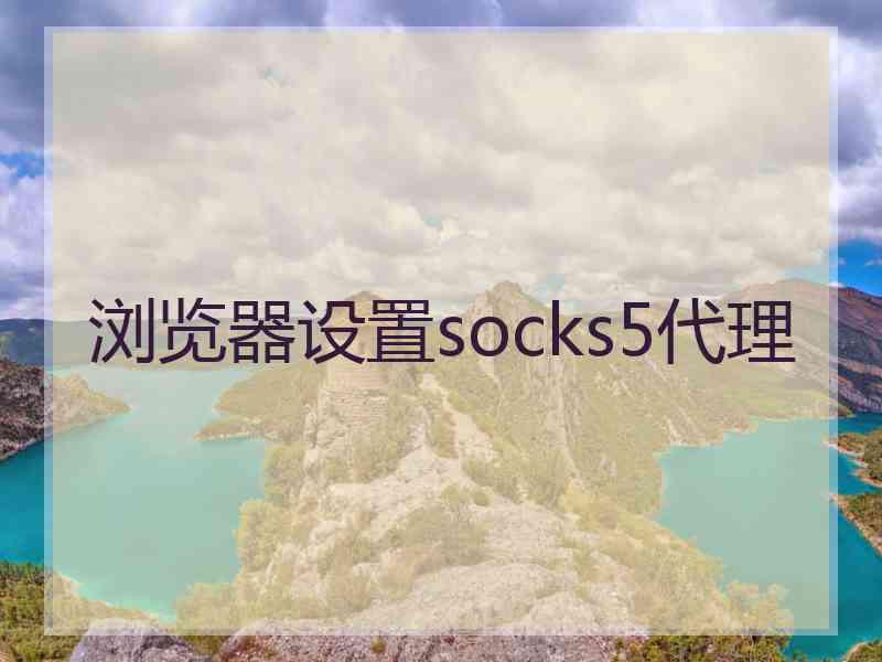 浏览器设置socks5代理