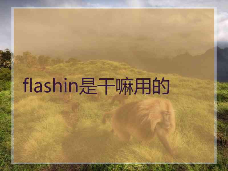 flashin是干嘛用的