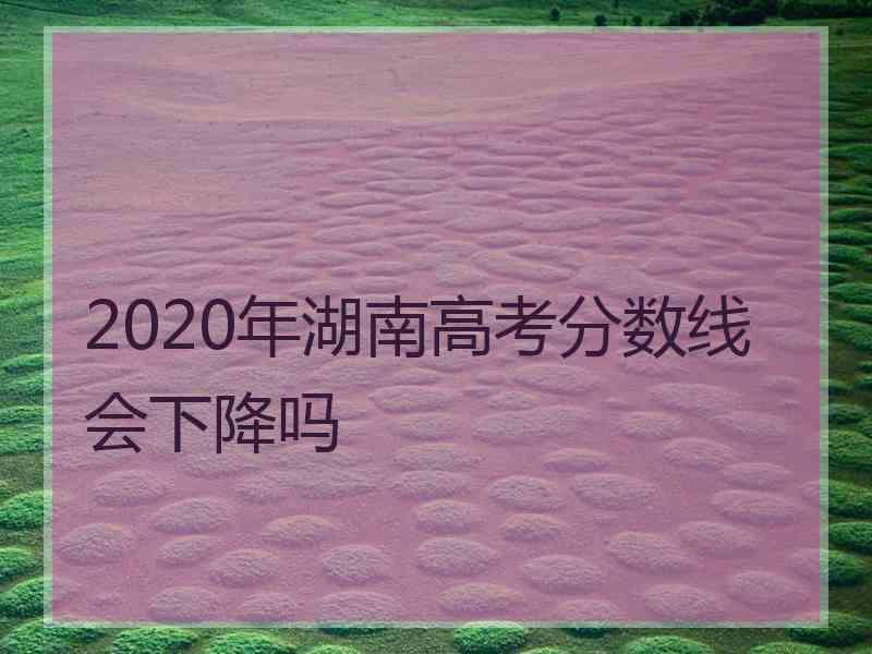 2020年湖南高考分数线会下降吗