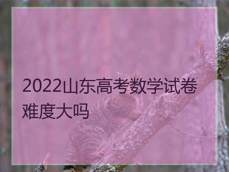 2022山东高考数学试卷难度大吗