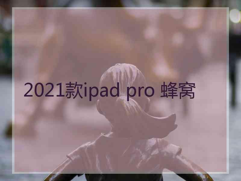 2021款ipad pro 蜂窝