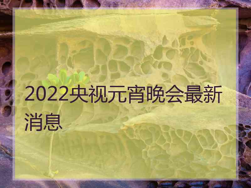 2022央视元宵晚会最新消息