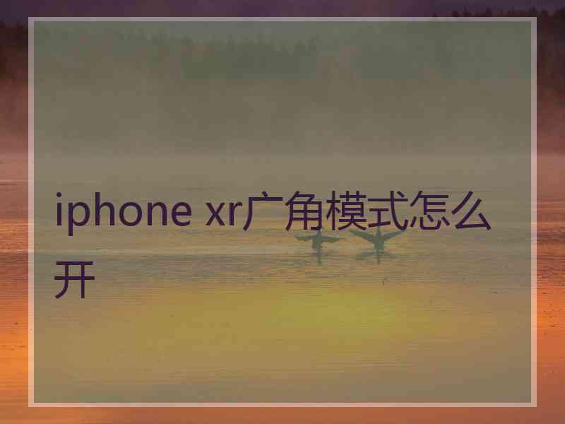 iphone xr广角模式怎么开