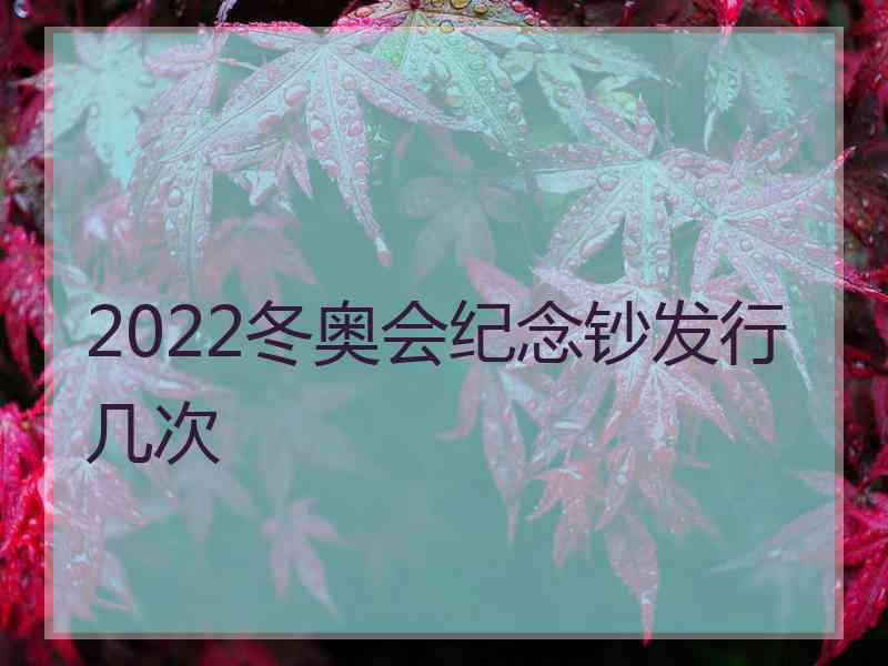 2022冬奥会纪念钞发行几次