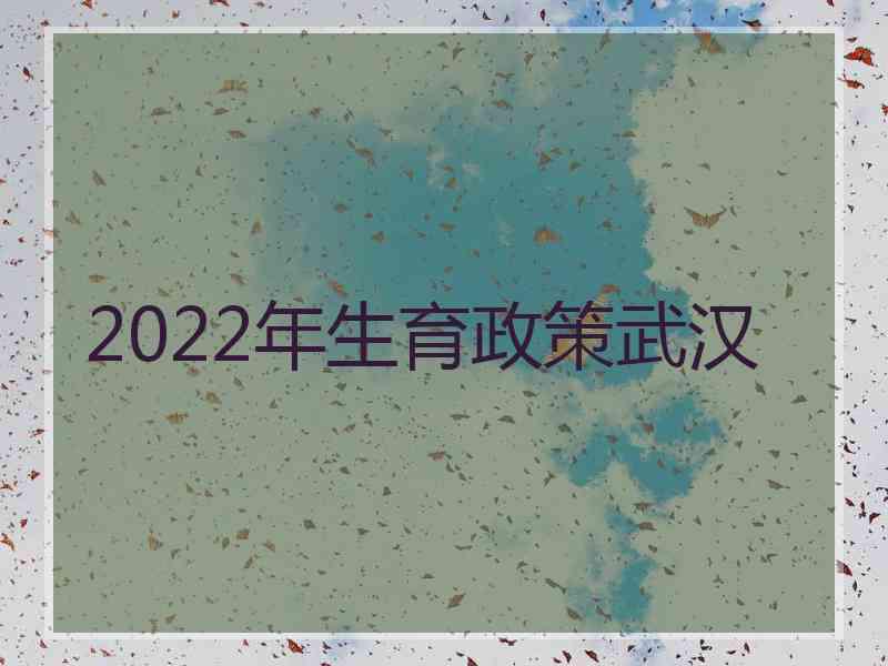 2022年生育政策武汉