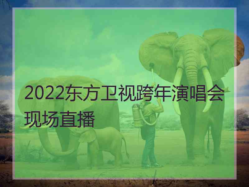 2022东方卫视跨年演唱会现场直播