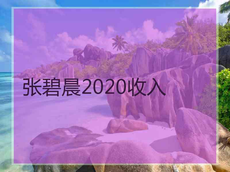 张碧晨2020收入