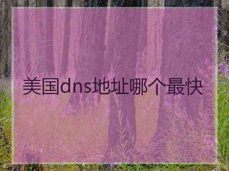 美国dns地址哪个最快