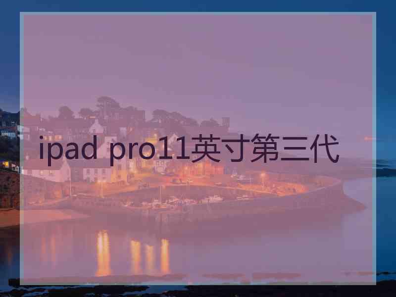 ipad pro11英寸第三代