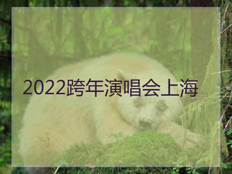 2022跨年演唱会上海