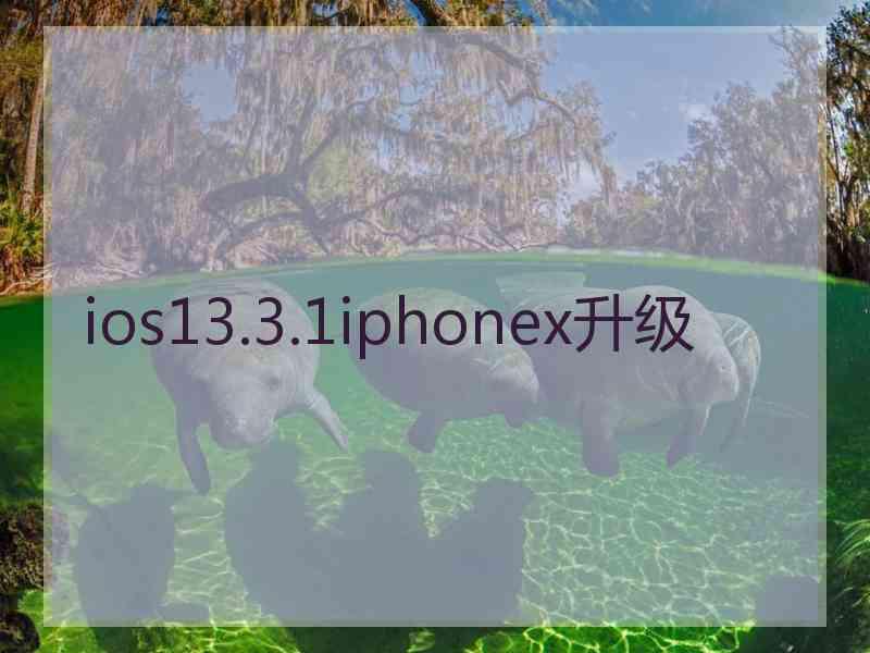 ios13.3.1iphonex升级