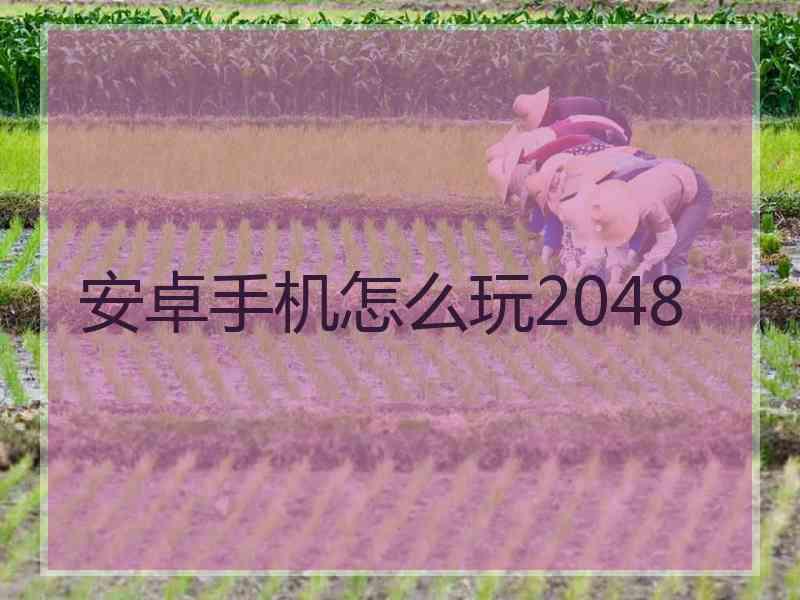 安卓手机怎么玩2048