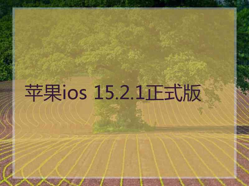 苹果ios 15.2.1正式版