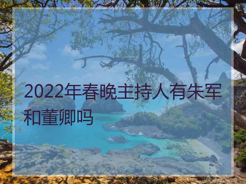 2022年春晚主持人有朱军和董卿吗